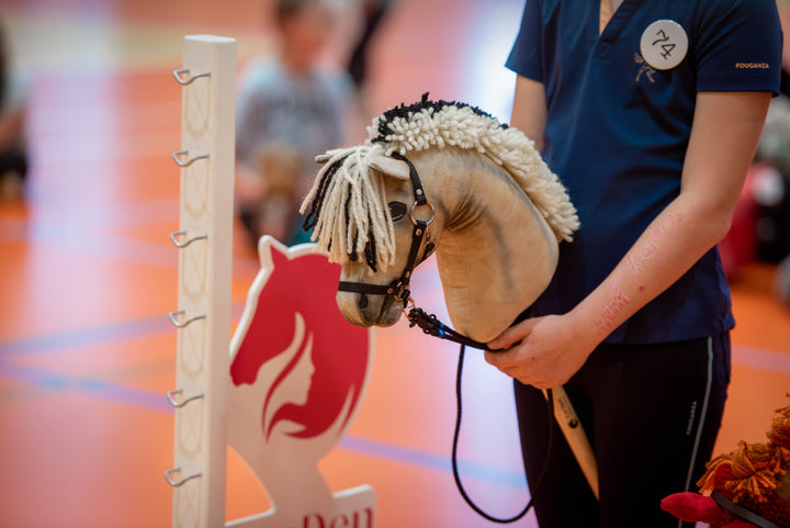 Bližnji posnetek s tekmovanja LarDen in ČHHA v dvorani: udeleženci v temno modrih športnih majicah s Hobby Horse konji ob belem stojalu in rdeče-belem krilu ovire; v ospredju svetlo rjav Hobby Horse konj z uzdo in grivo iz krem in črne preje.