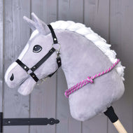 Grey Hobby Horse in a black halter with the pink and grey striped rope cordeo around its neck