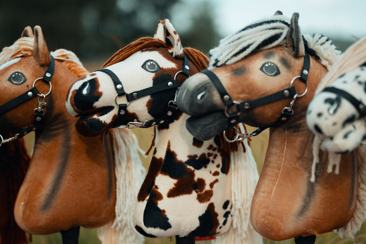 Hobby Horse konji s črnimi oglavkami na ameriškem prvenstvu Hobby Horse