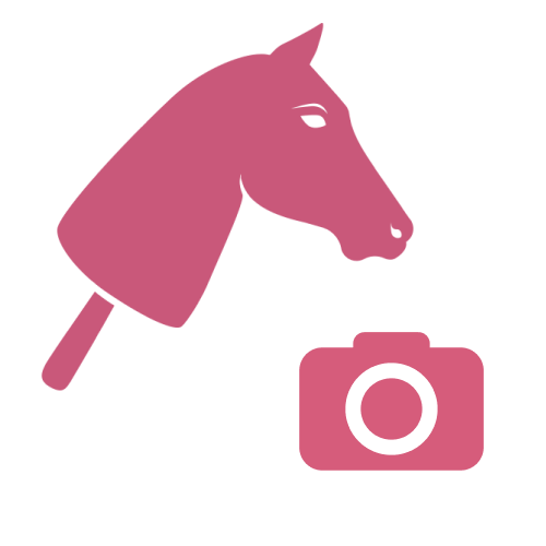 Roza ilustracija glave Hobby Horse konja s palico nad roza ikono fotoaparata, oboje na svetlo sivem ozadju.