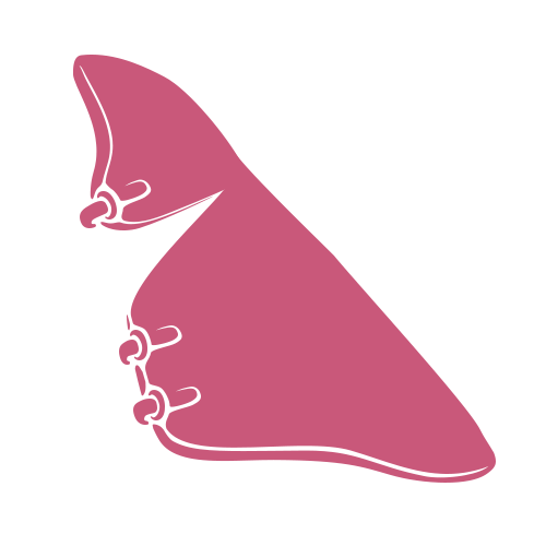 Minimalistična ilustracija roza roke, ki v ameriškem znakovnem jeziku kaže črko B, na svetlo sivem ozadju.