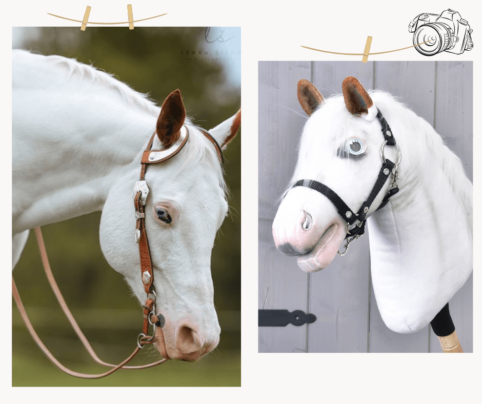 Side-by-side photos of a white horse with brown ears and its white Hobby Horse copy with brown ears and a black halter