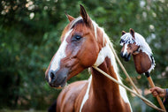 Hobby Horse konj po vaši fotografiji znamke LarDen: kostanjevo-bel dvojnik, ki ga držijo ob ujemajočem se pravem pisanem konju