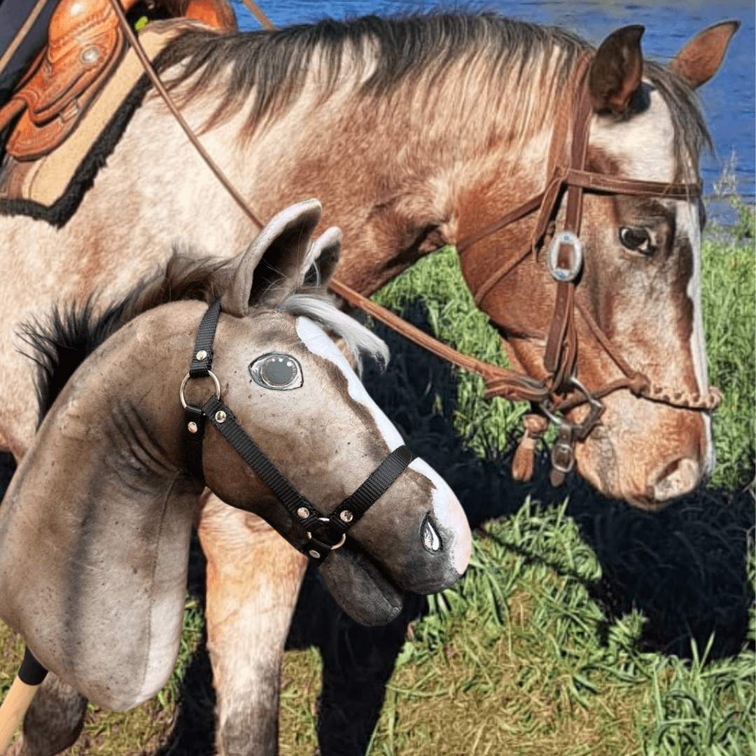 Roan horse in a western bridle by the water behind a greyish brown Hobby Horse with a white blaze and black halter