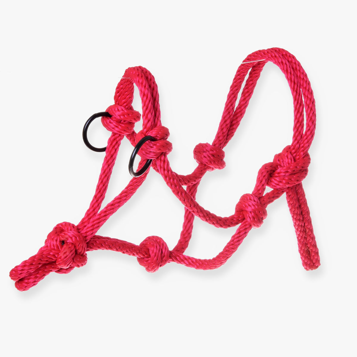 Hobby Horse Rope halter red by LarDen, knotted red rope with two black metal rings on a white background