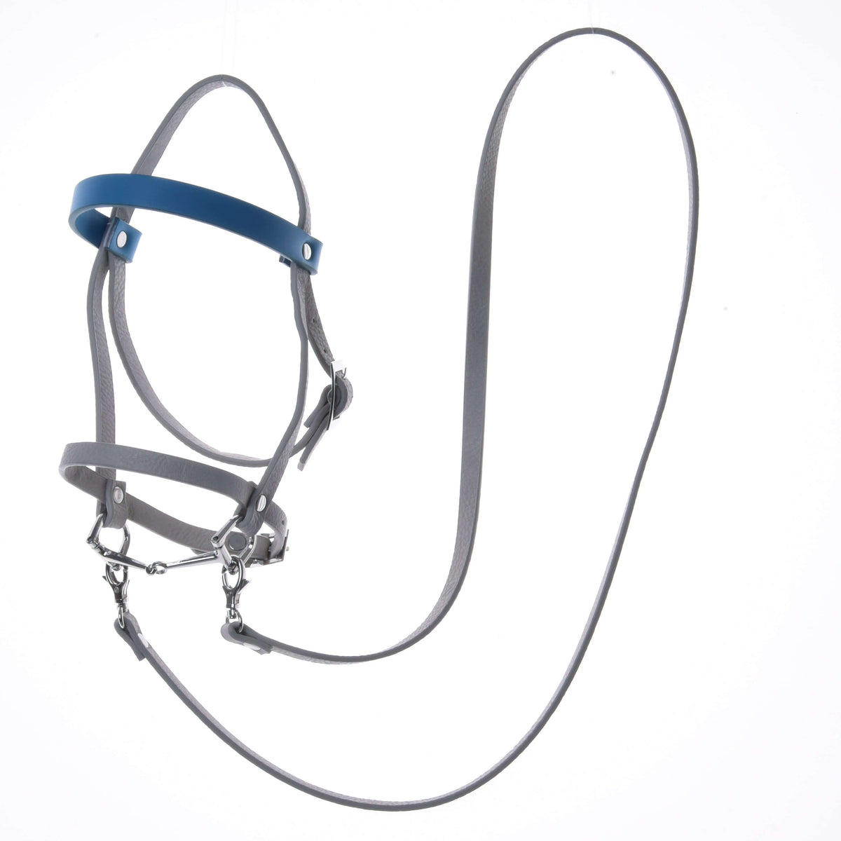 Svetlo siva Hobby Horse uzda iz umetnega usnja z modrim čelnikom, brzdo in dolgimi vajetmi, razprostrta na beli podlagi