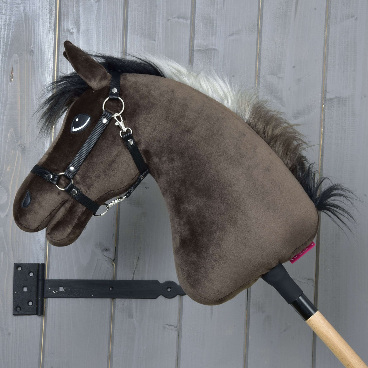 Hobby Horse Alfredo in left profile, the black and silver-grey mane standing along the dark brown neck