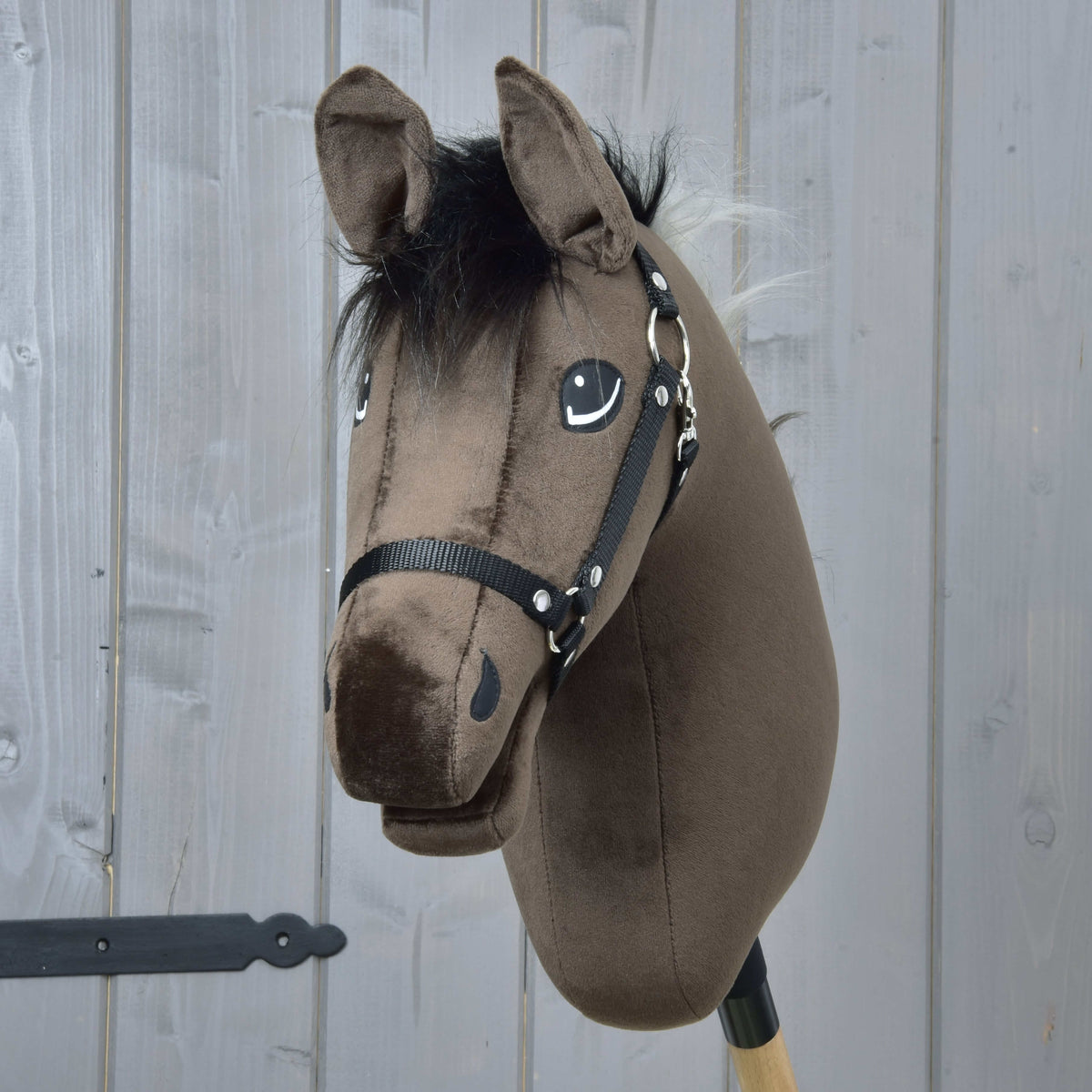 Front view of Hobby Horse Alfredo with a shaggy black forelock, dark brown plush and a black halter
