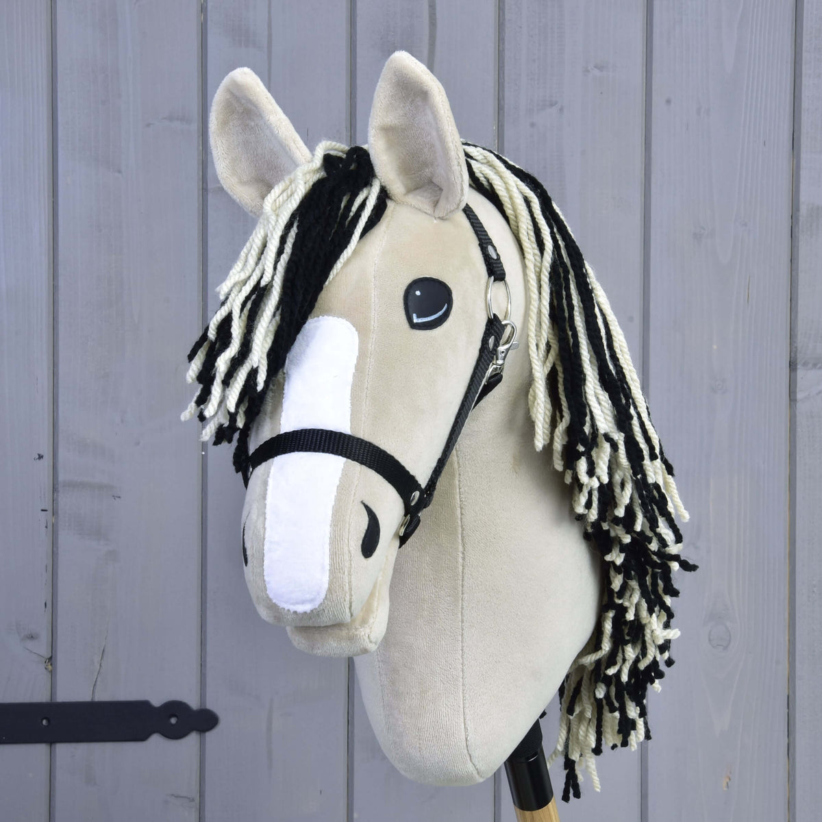 Front view of Hobby Horse Aurora showing the wide white blaze, black halter and black and white mane on both sides