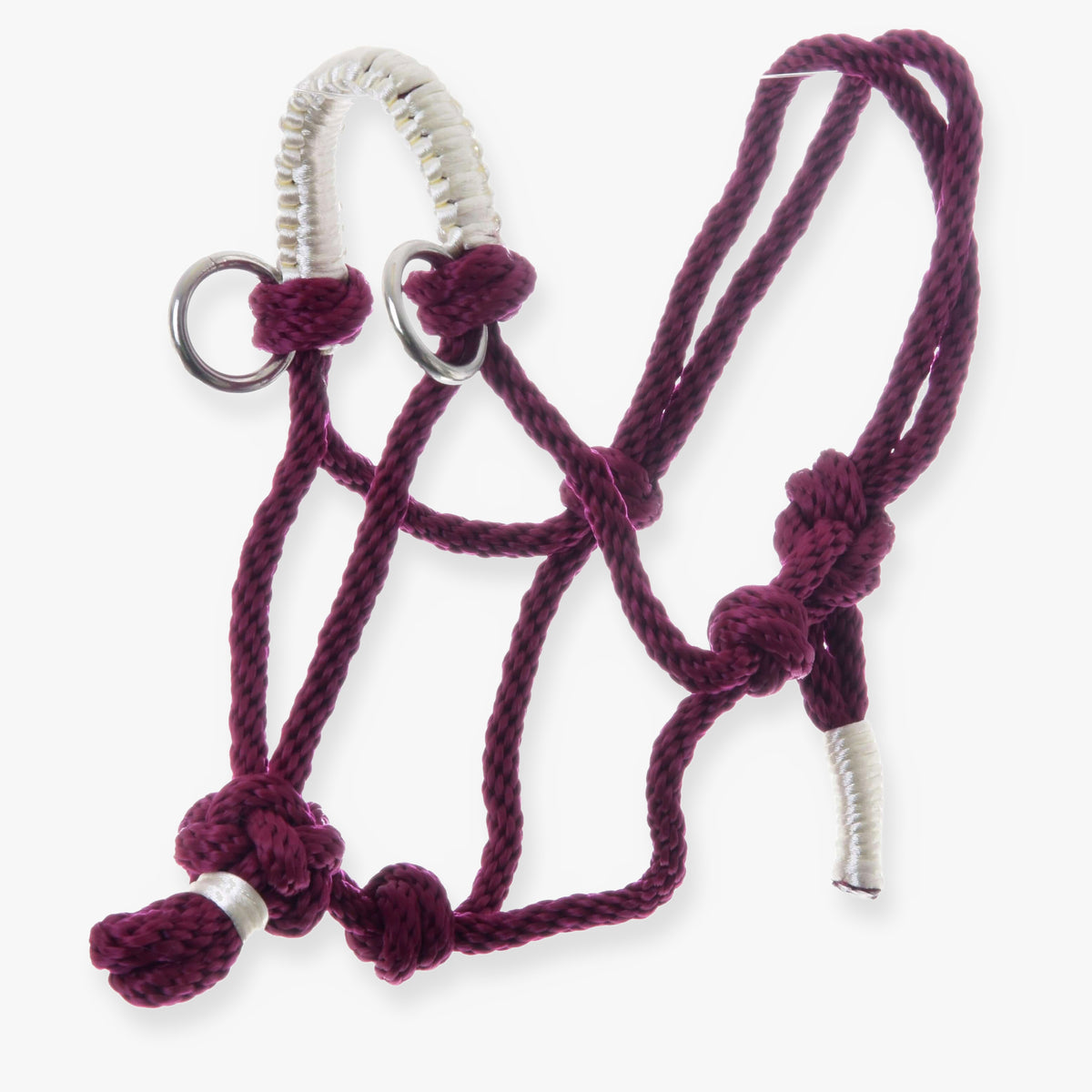 Hobby Horse Rope halter Czi-Czi by LarDen, burgundy knotted rope with a white wrapped noseband and silver rings