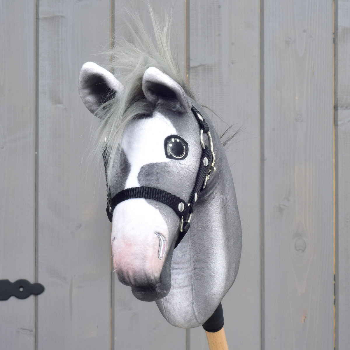 Front view of the grey Hobby Horse showing its white blaze, soft ears and sparkling eyes