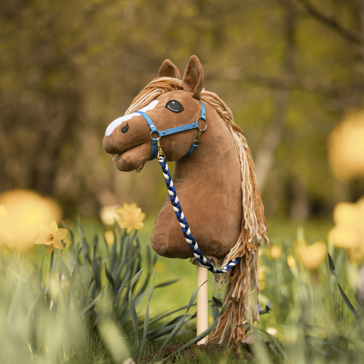 Svetlo rjav Hobby Horse konj z modro oglavko in modro-belim pletenim povodcem stoji med rumenimi narcisami