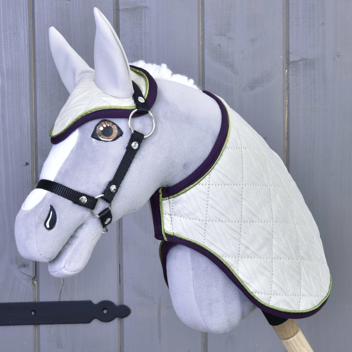 Grey Hobby Horse with amber eyes and black halter wearing Set Leonardo, ivory quilting trimmed in purple and green