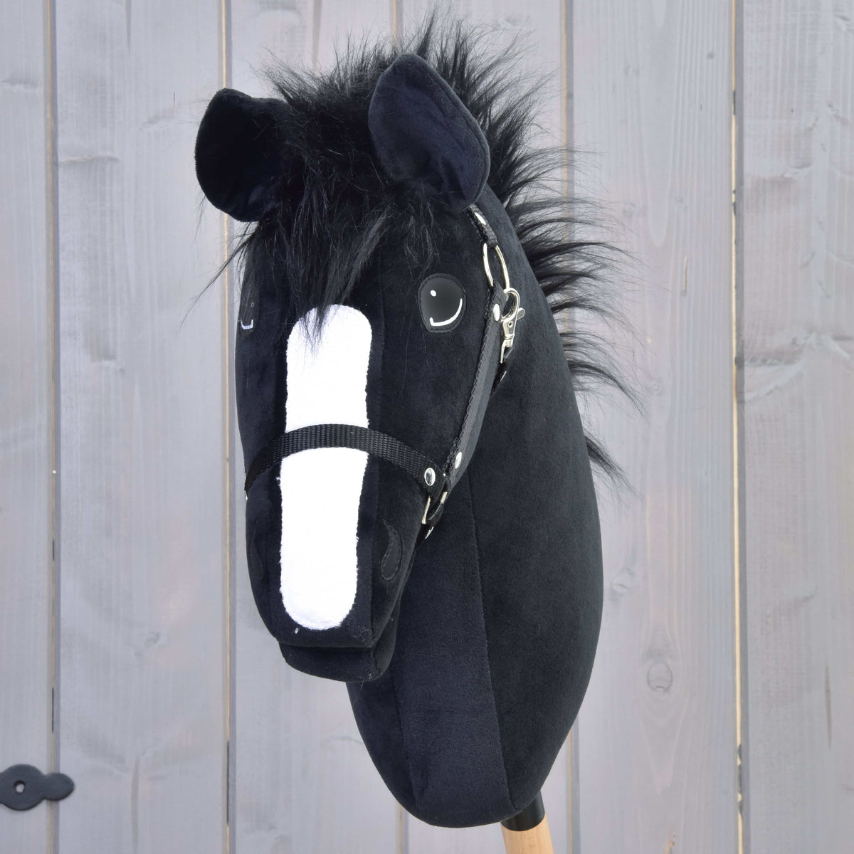 Front view of Hobby Horse Loki with a white blaze, tousled black fur forelock and black halter