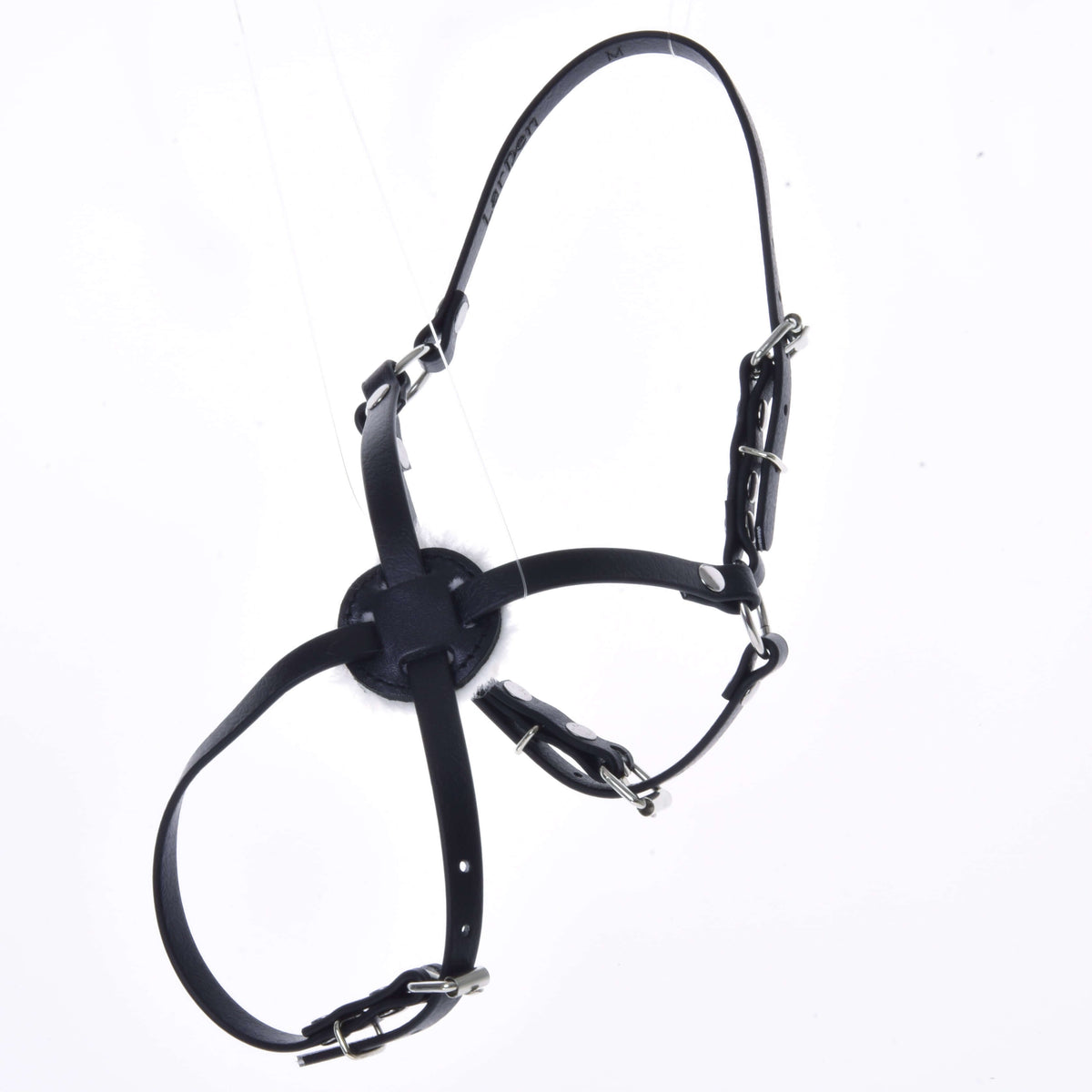 Black leatherette Hobby Horse noseband Mexico with padded crossing point, buckles and headpiece, hanging against white