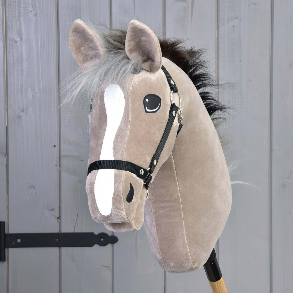 Front view of Hobby Horse Piccolino with a long white blaze, silver grey forelock and black halter against grey wood
