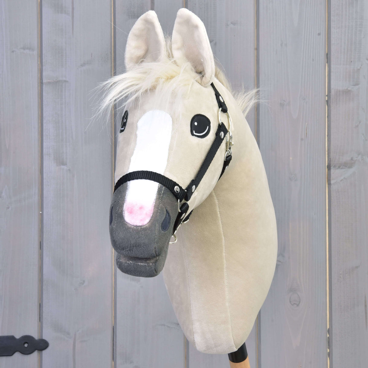 Front view of Hobby Horse Pixie with a white blaze fading into pink, a grey muzzle and black halter