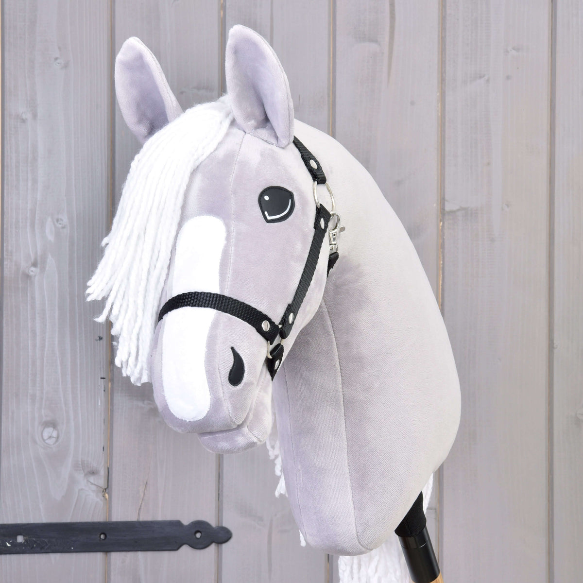 Light grey Hobby Horse seen from the front, with a white blaze, white forelock and black nylon halter