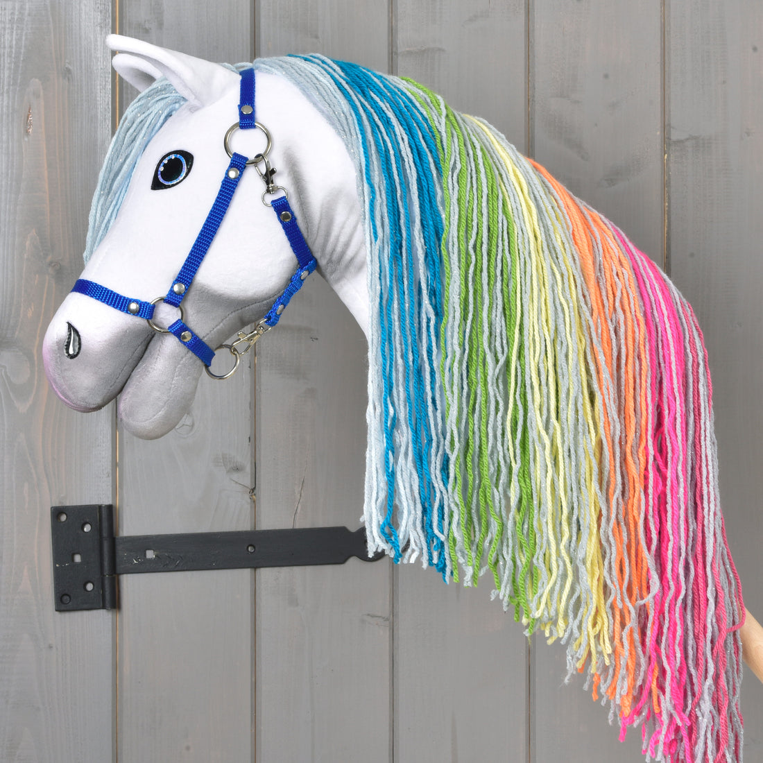 Hobby Horse Rainbow Novo