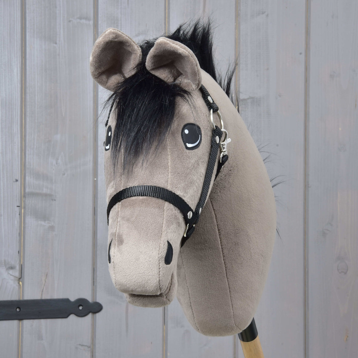 Hobby Horse konj Thor od spredaj s puhastim črnim čopom med sivo rjavimi ušesi in črno oglavko