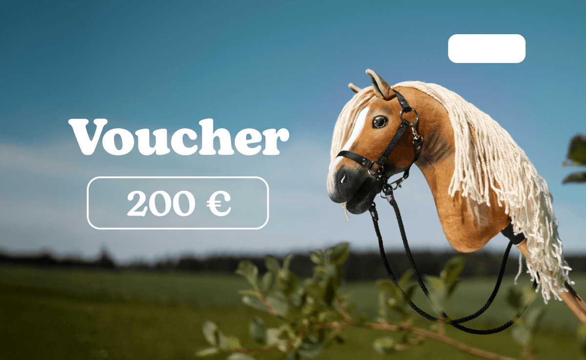 Hobby Horse darilni bon 200 € trgovine LarDen: kostanjeva plišasta glava z belo liso in smetanasto grivo, bel znesek 200 € na modrem nebu