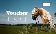 Hobby Horse darilni bon 75 € trgovine LarDen: bel znesek 75 € ob kostanjevi plišasti glavi s črno uzdo na prostem