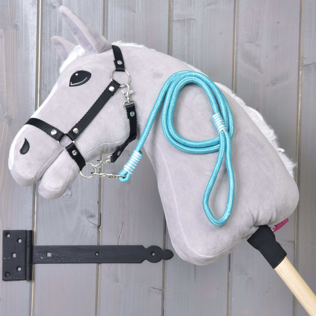 Light grey Hobby Horse in a black halter with the turquoise rope stripe Atlantis lead rope draped over its neck