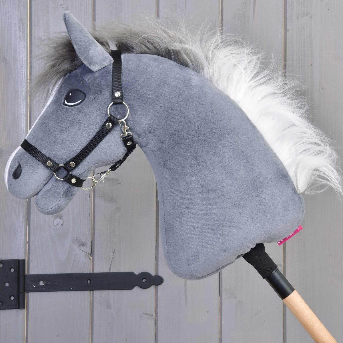 Hobby Horse Beauty v levem profilu s puhasto grivo, ki prehaja iz temno sive v belo, in črno oglavko