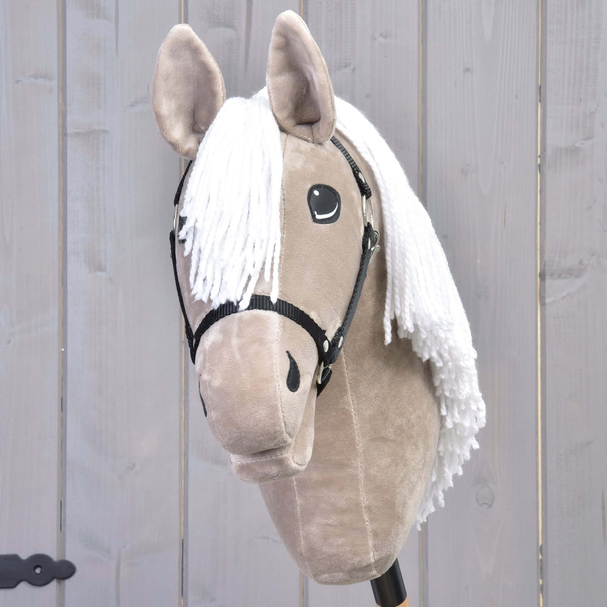Hobby Horse Blondie with Black Halter from the front, white yarn forelock falling between beige plush ears