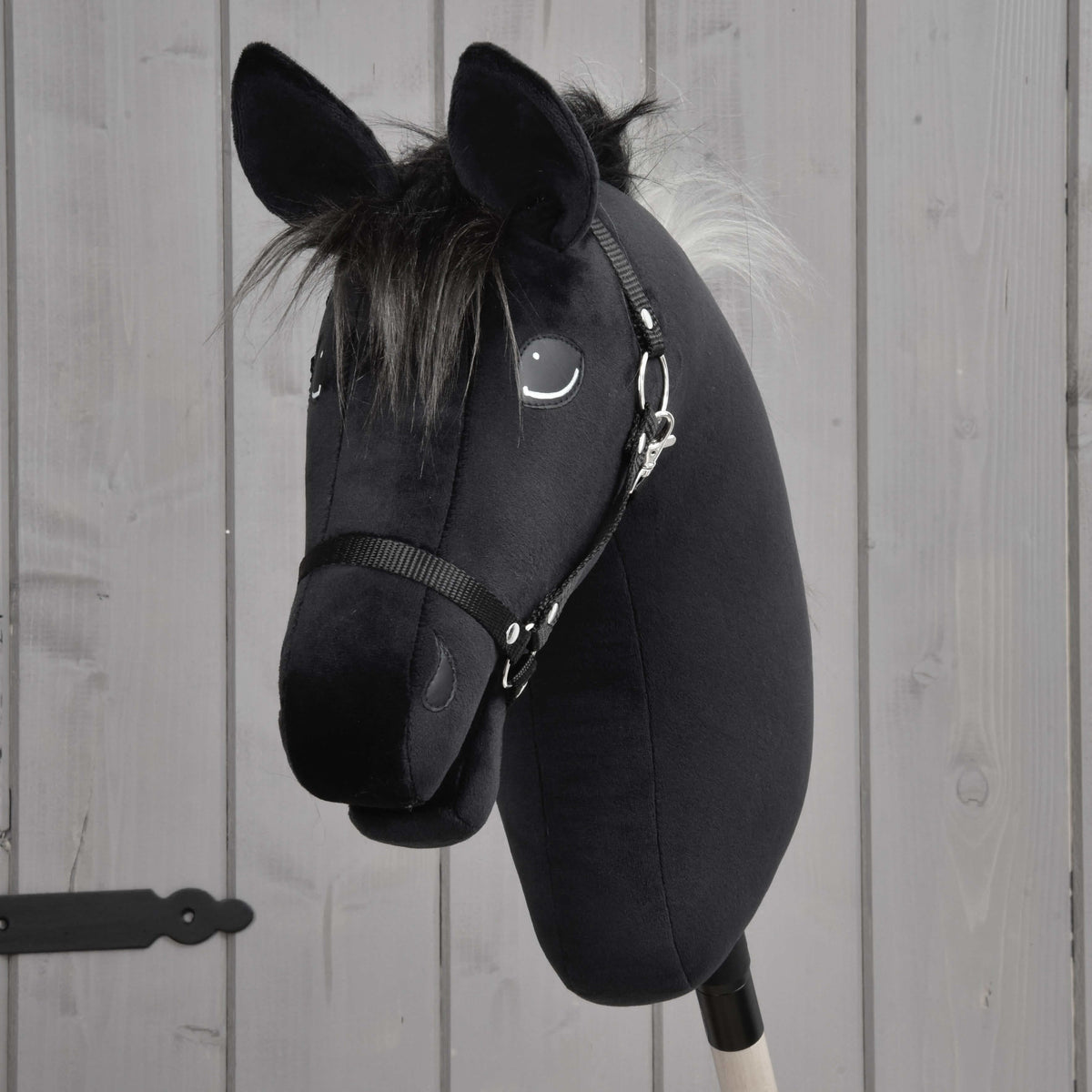 Hobby Horse Bond with Black Halter from the front, a dark fluffy forelock between black plush ears
