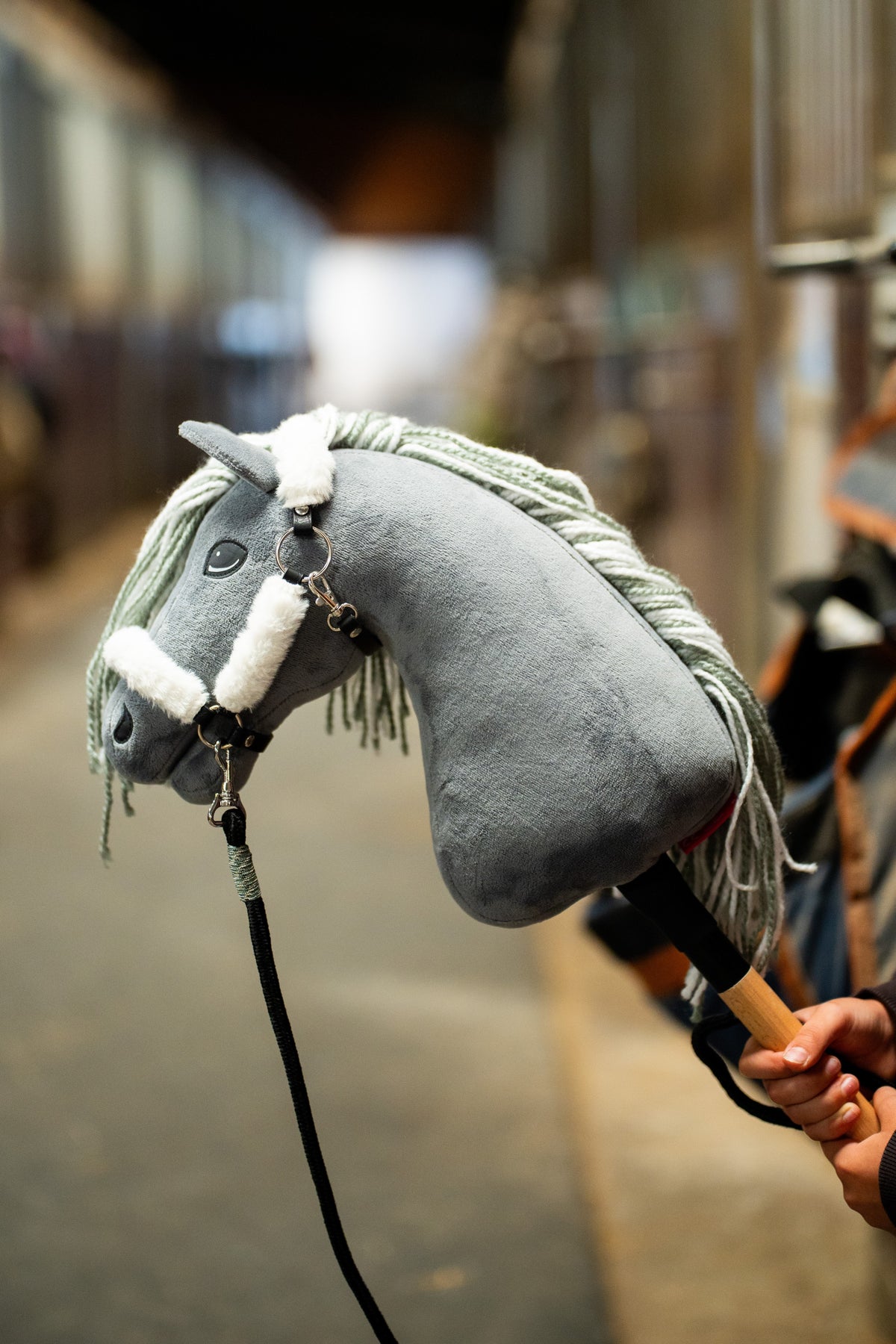 Hobby Horse konj Calypso od blizu v beli oglavki s krznom na črnem povodcu, zadaj zabrisan hlevski hodnik