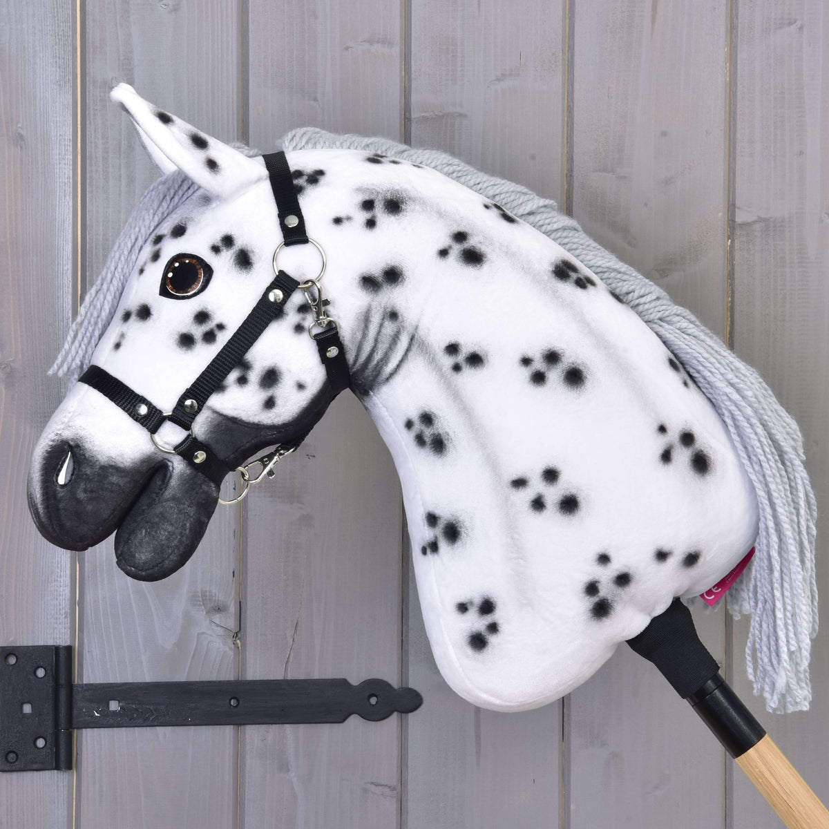Hobby Horse Chantal v levem profilu: črne pike po belem vratu in črna oglavka