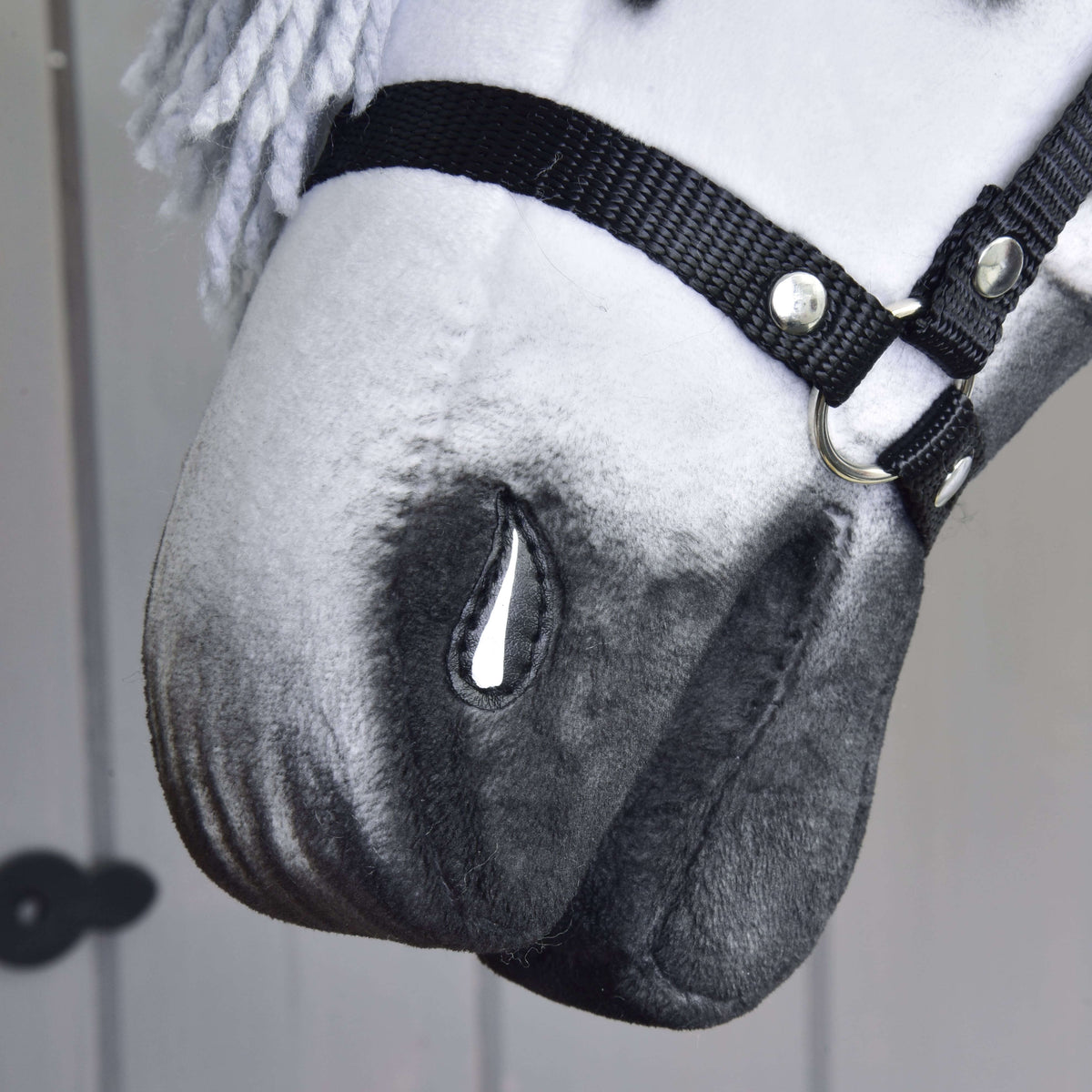 Bližnji posnetek sivo osenčenega gobca Hobby Horse konja Chantal s poslikano nosnico in nosnikom črne oglavke