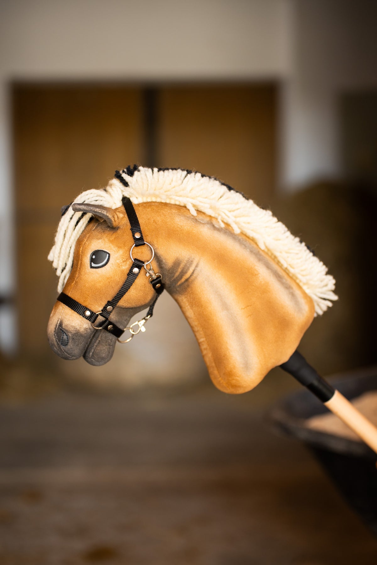 Hobby Horse konj Colby v hlevu, zadaj zabrisana lesena vrata, črna oglavka s srebrnimi obročki in temno senčen gobec