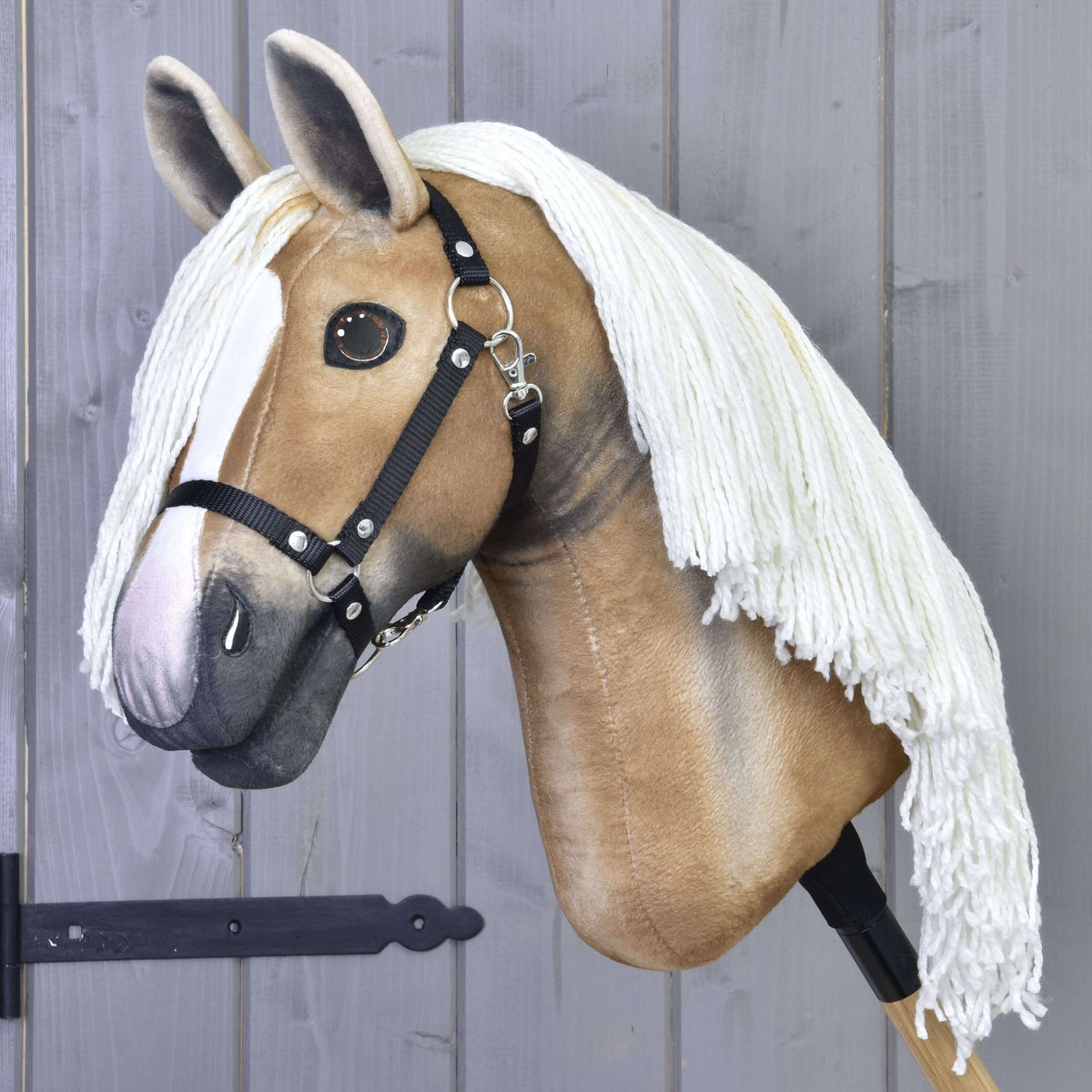 Zlatorjav Hobby Horse konj s sivo osenčenim gobcem, sijočimi rjavimi očmi in črno oglavko, kremna griva prek vratu