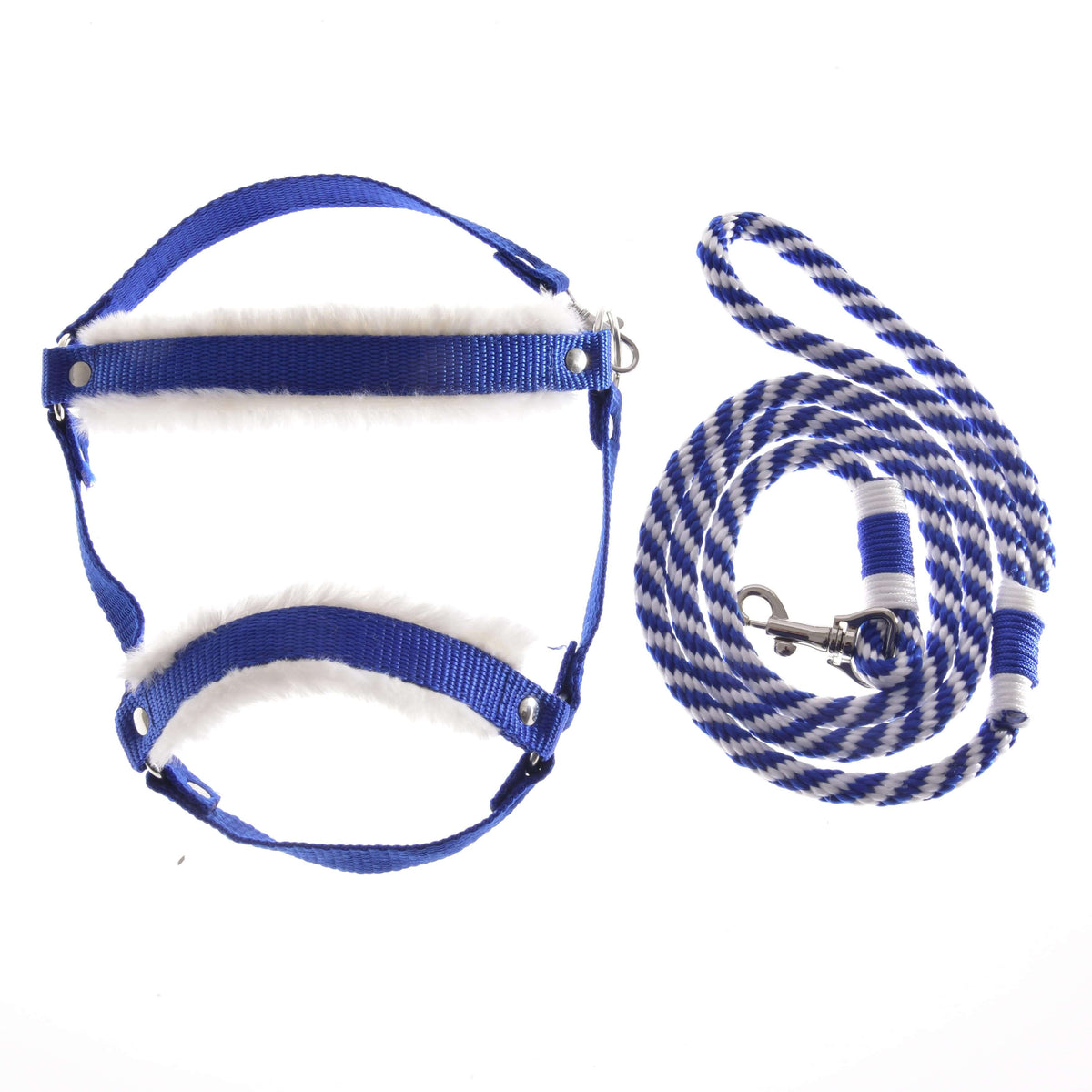 Hobby Horse komplet Essential Blue LarDen: kraljevsko modra oglavka z belo krzneno podlogo in modro-bel sukan povodec