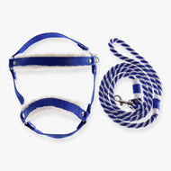 Hobby Horse Set Essential Blue by LarDen: royal blue halter with white fur padding and a blue and white twisted lead rope