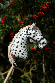 Hobby Horse konj Lord Valentine na prostem od strani pred jerebiko, polno rdečih jagod
