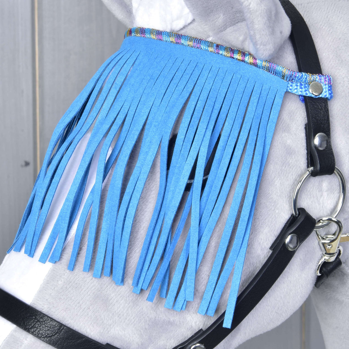 Close-up of the blue fringe hanging from a shimmering rainbow band over the eye of a grey Hobby Horse
