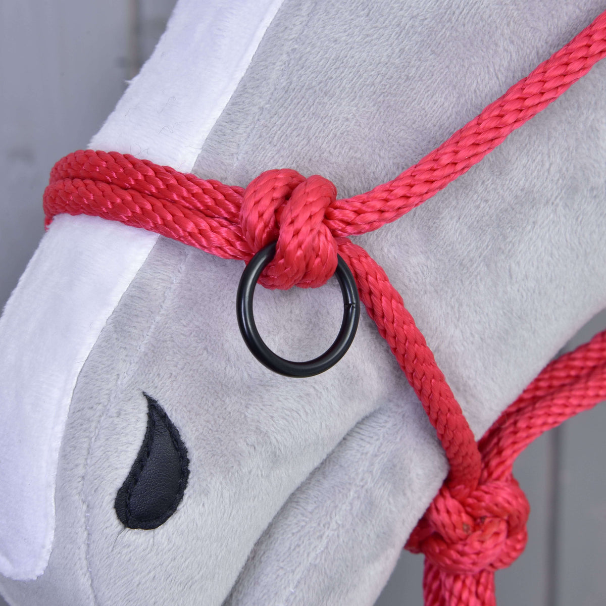Close-up of a knot and black ring of the red rope halter over the white blaze of a grey Hobby Horse
