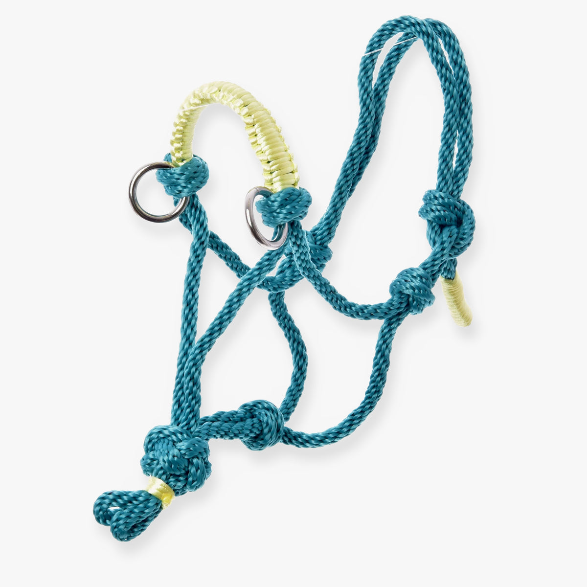 Hobby Horse Rope halter Turquoise by LarDen in turquoise rope with a pale yellow braided noseband and silver rings