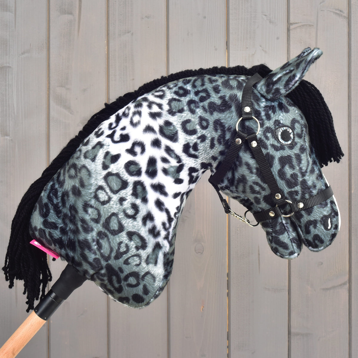 Hobby Horse Picasso s črno oglavko, obrnjen v desno: blede leopardje pike na grlu in črna griva zadaj