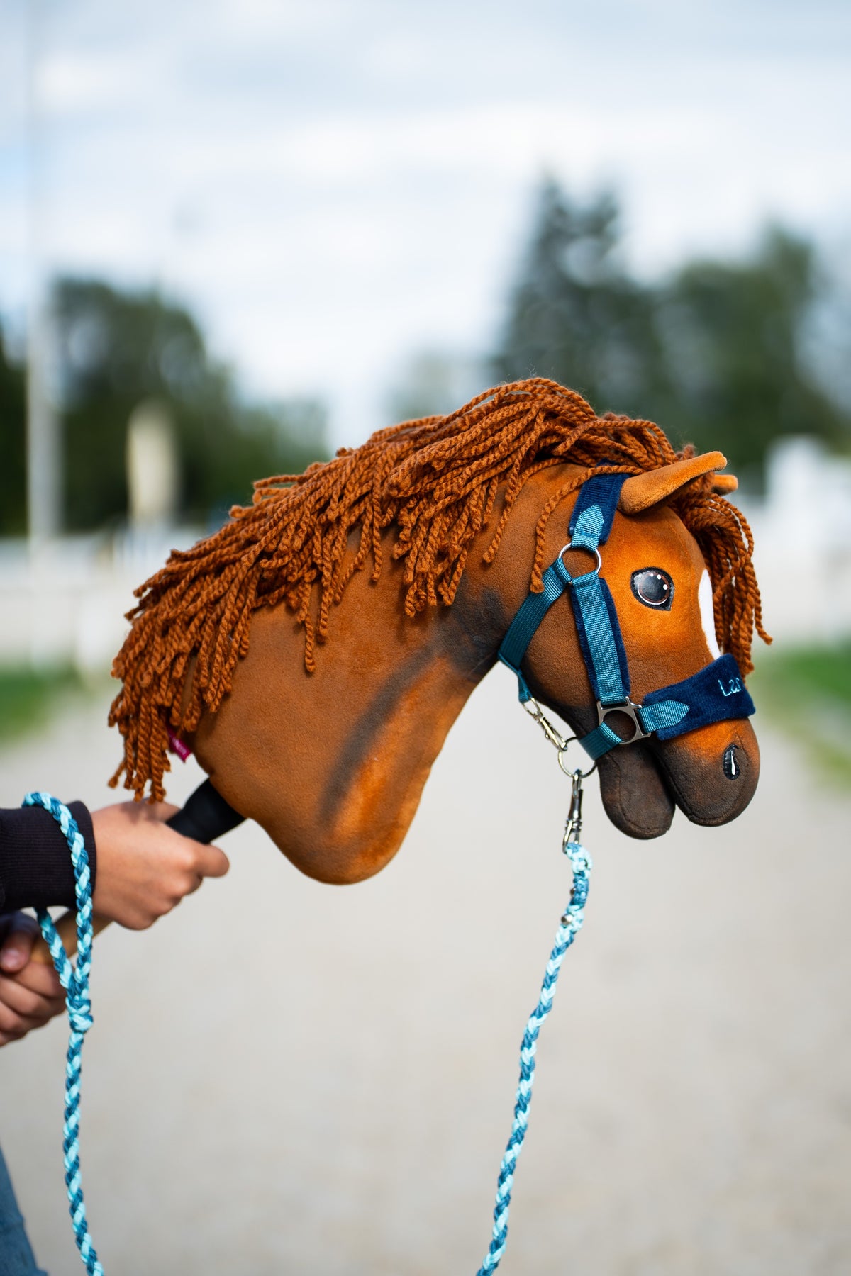 Close-up of Hobby Horse Pippa with a curly rust mane in a teal halter with a navy noseband and a turquoise lead rope