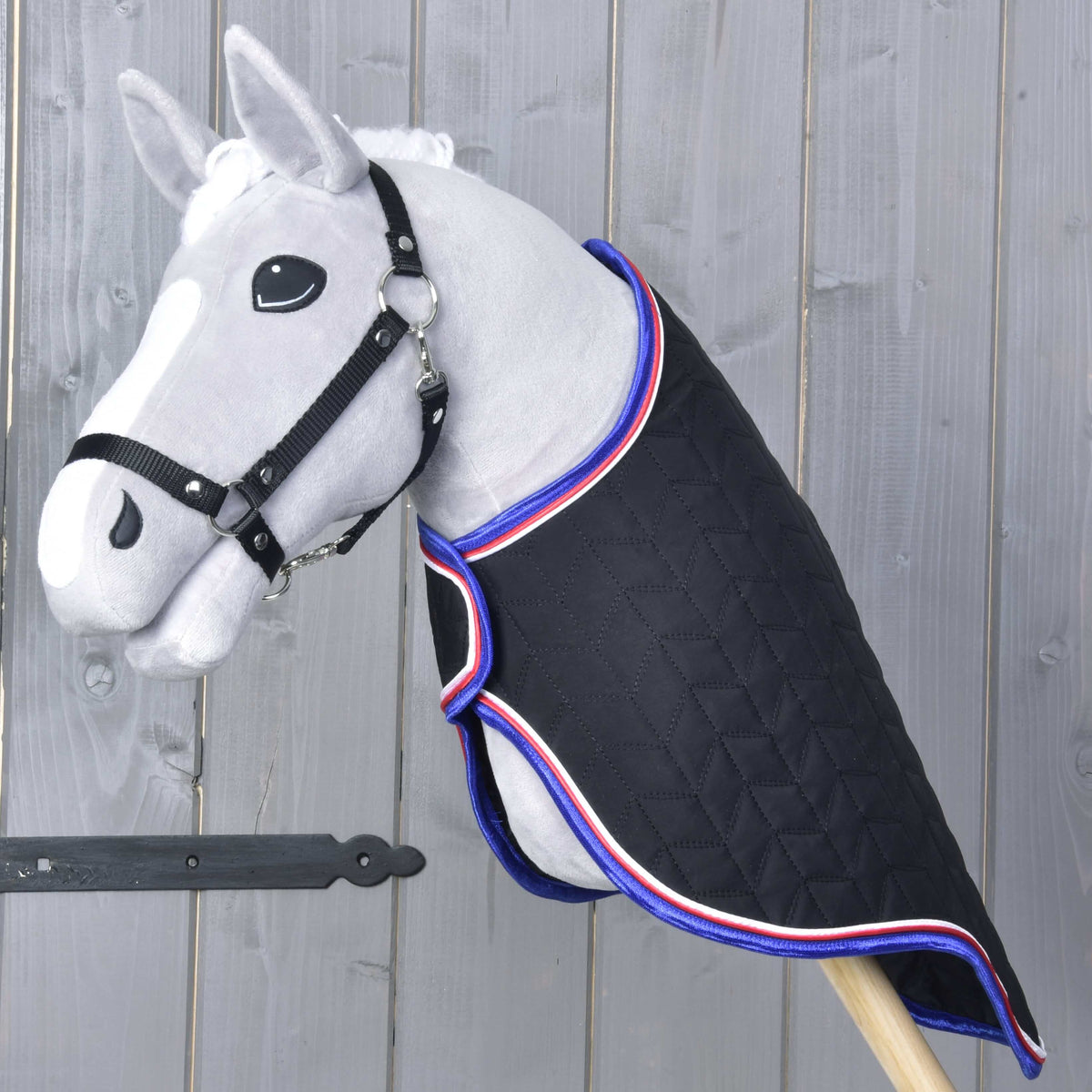 Grey Hobby Horse in a black halter wearing the black quilted travel rug with blue, red and white trim, three-quarter view