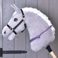 Grey Hobby Horse in a black halter with the purple and white striped rope cordeo around its neck