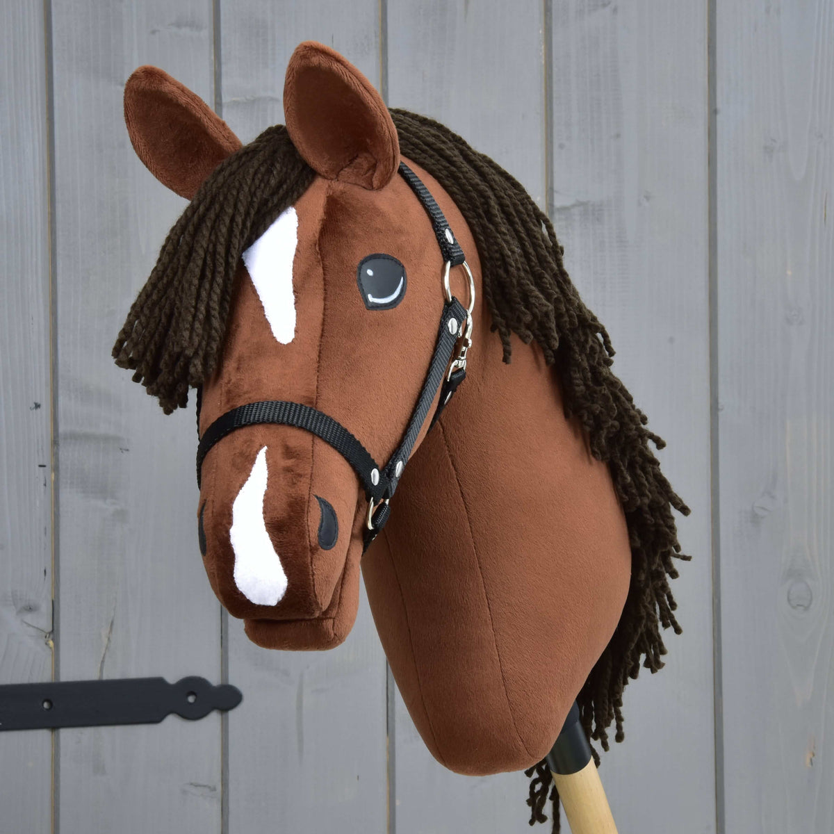 Hobby Horse konj Rocky od spredaj z belo zvezdo, belo progo na nosu in temno rjavim čopom iz preje
