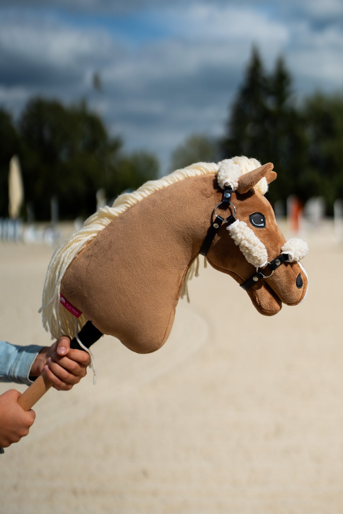 Svetlo rjav Hobby Horse Smart v črni oglavki v celoti s kremnim krznom, dvignjen na peščenem jahališču pod oblačnim nebom