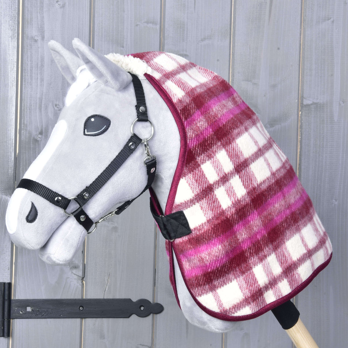 Grey Hobby Horse in a black halter wearing the burgundy and pink checked stable blanket with a black front strap