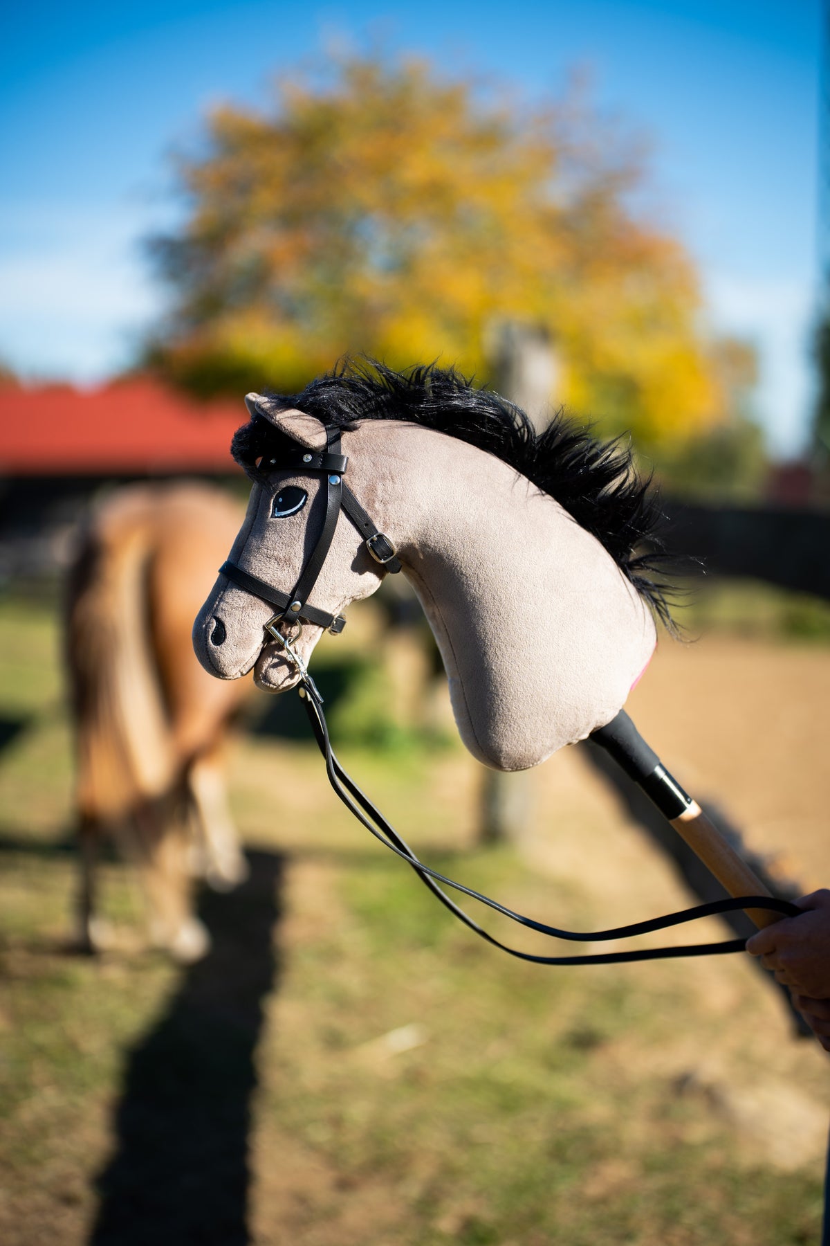 Bližnji posnetek Hobby Horse konja Thor s črno uzdo z vajetmi v izpustu, v zabrisanem ozadju poni in jesensko drevo