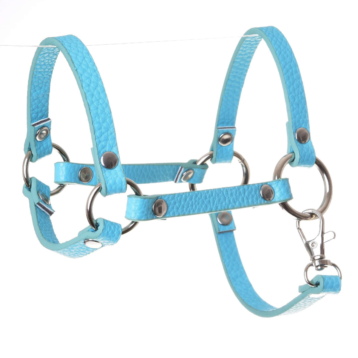 LarDen Hobby Horse halter in turquoise leatherette with silver rings, rivets and a snap hook, on a white background